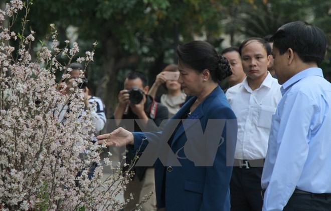 Chủ tịch Quốc hội Nguyễn Thị Kim Ngân tham quan triển lãm hoa anh đào tại Hà Nội  - ảnh 1